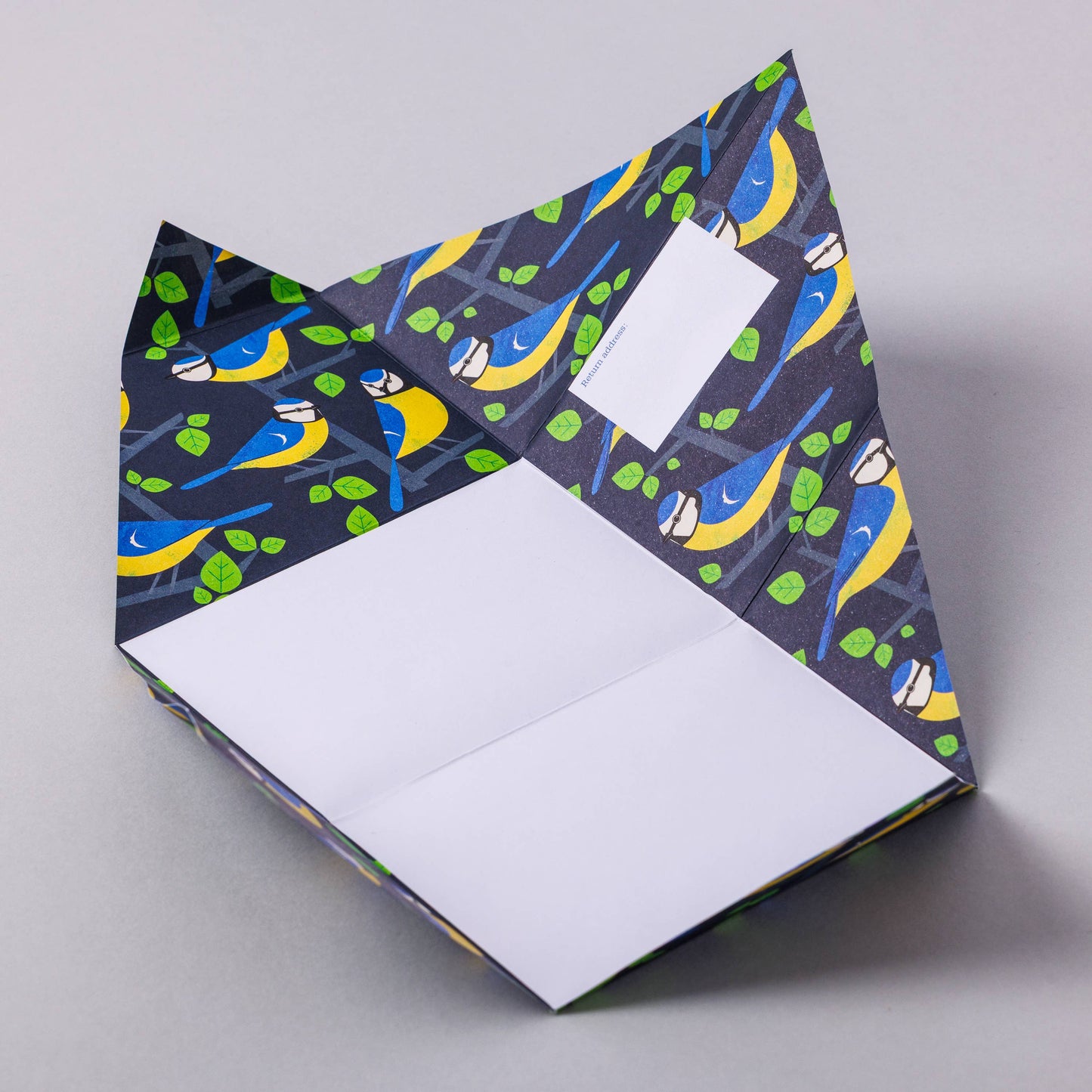 Dawn Chorus Pigeon, Folding Letter Set – Pack of 6 Letters