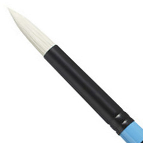 Aspen 6500 Series Long Handled Brush