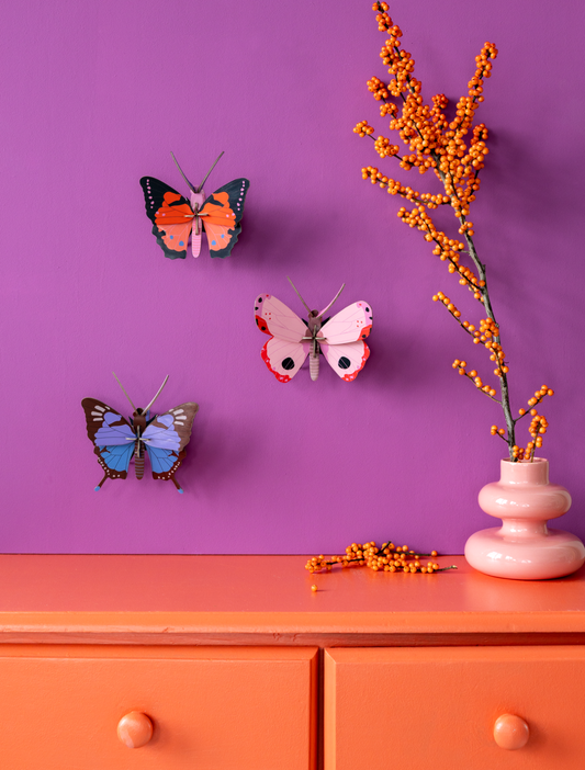 3D Wall Art - Butterfly - Large Fox Butterfly