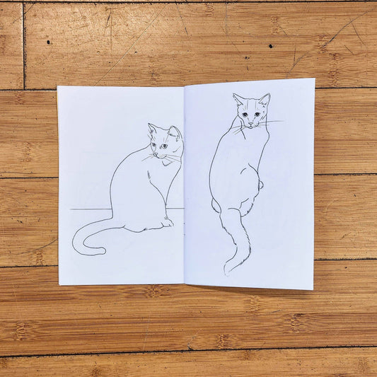 Color A Clowder: Kitty Coloring Book by Maxx FG