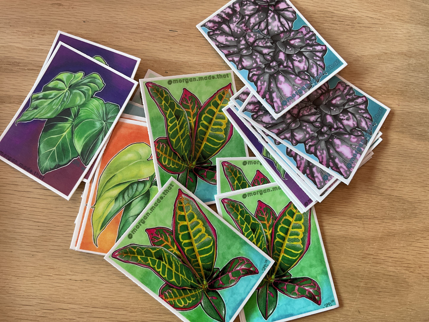 Floral Stickers by Yinz and Yous