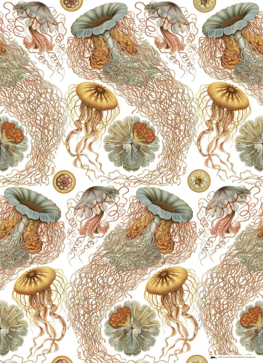 Art Forms In Nature Gift & Creative Paper Book Vol. 83