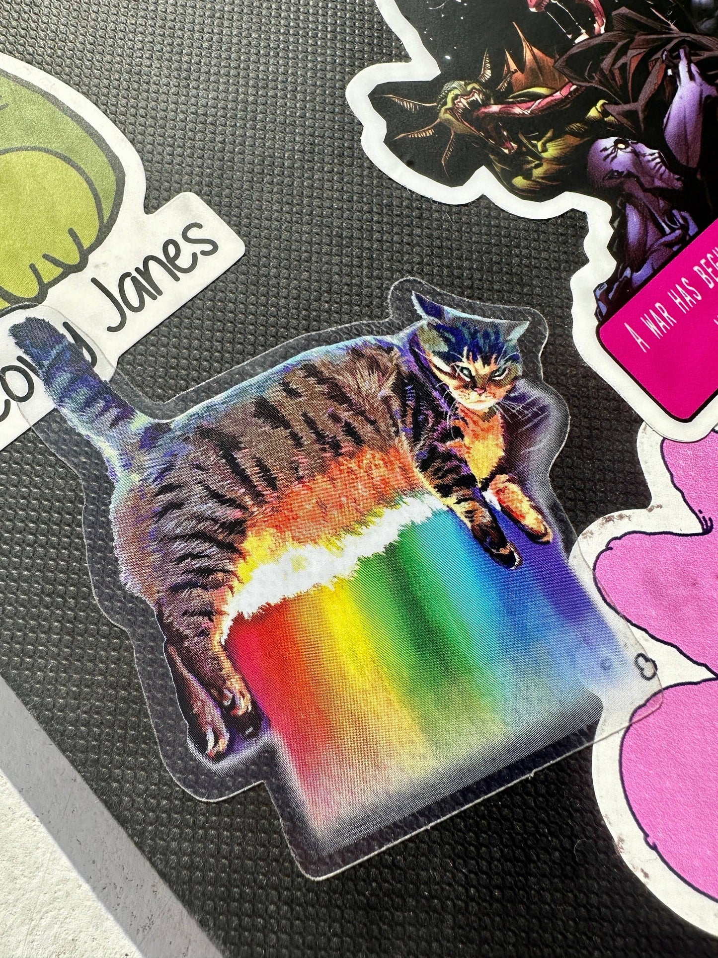 Rainbow Cat Meme Sticker