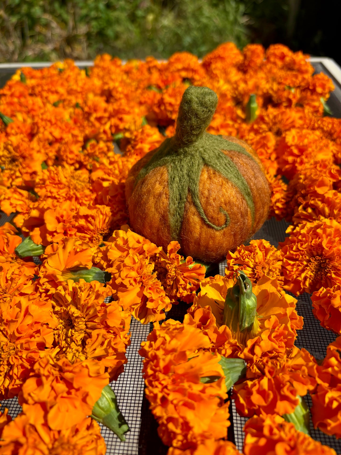Intro to Needle Felting: Pumpkin Edition