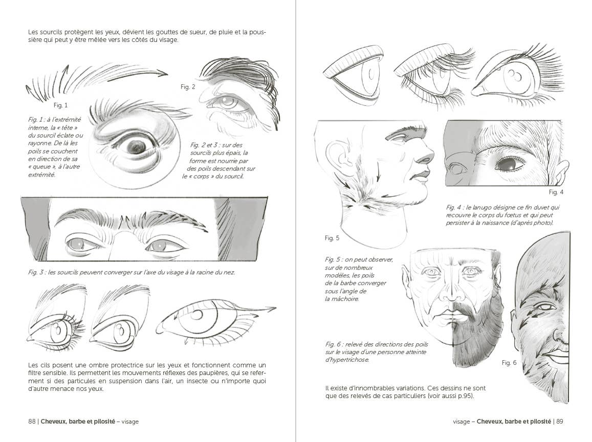 Morpho: Face, Head, And Neck