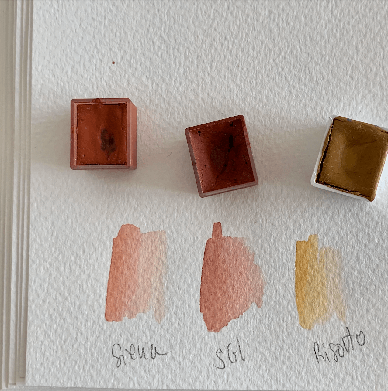 Handmade watercolor - Ocre Risotto alla Milanese