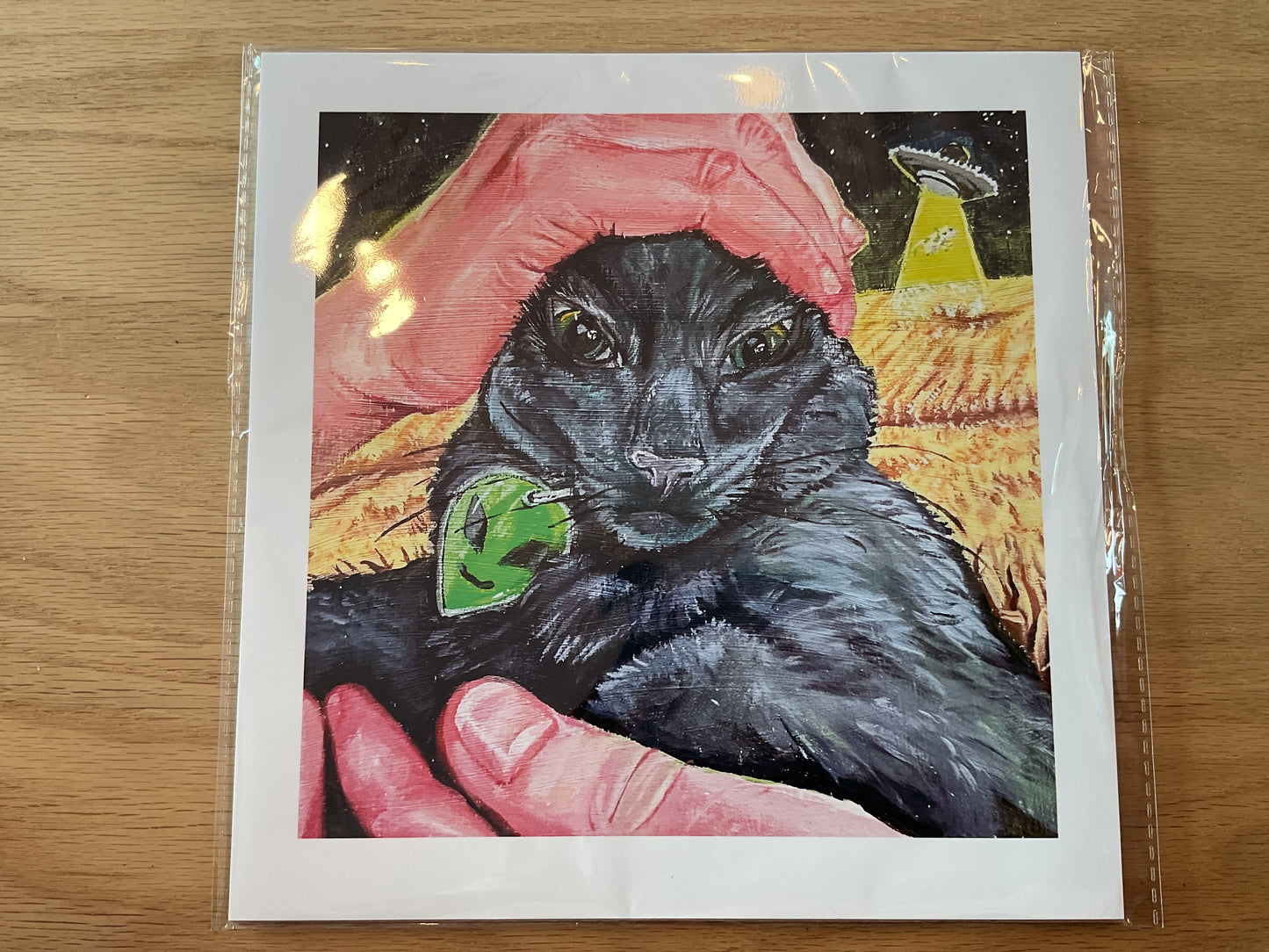 Mohr Does Art print- Alien Conspiracy Cat