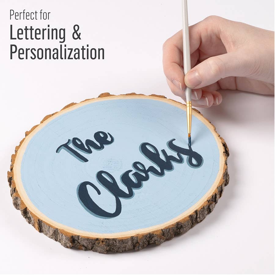 FolkArt Detail Brush Set 10 Piece