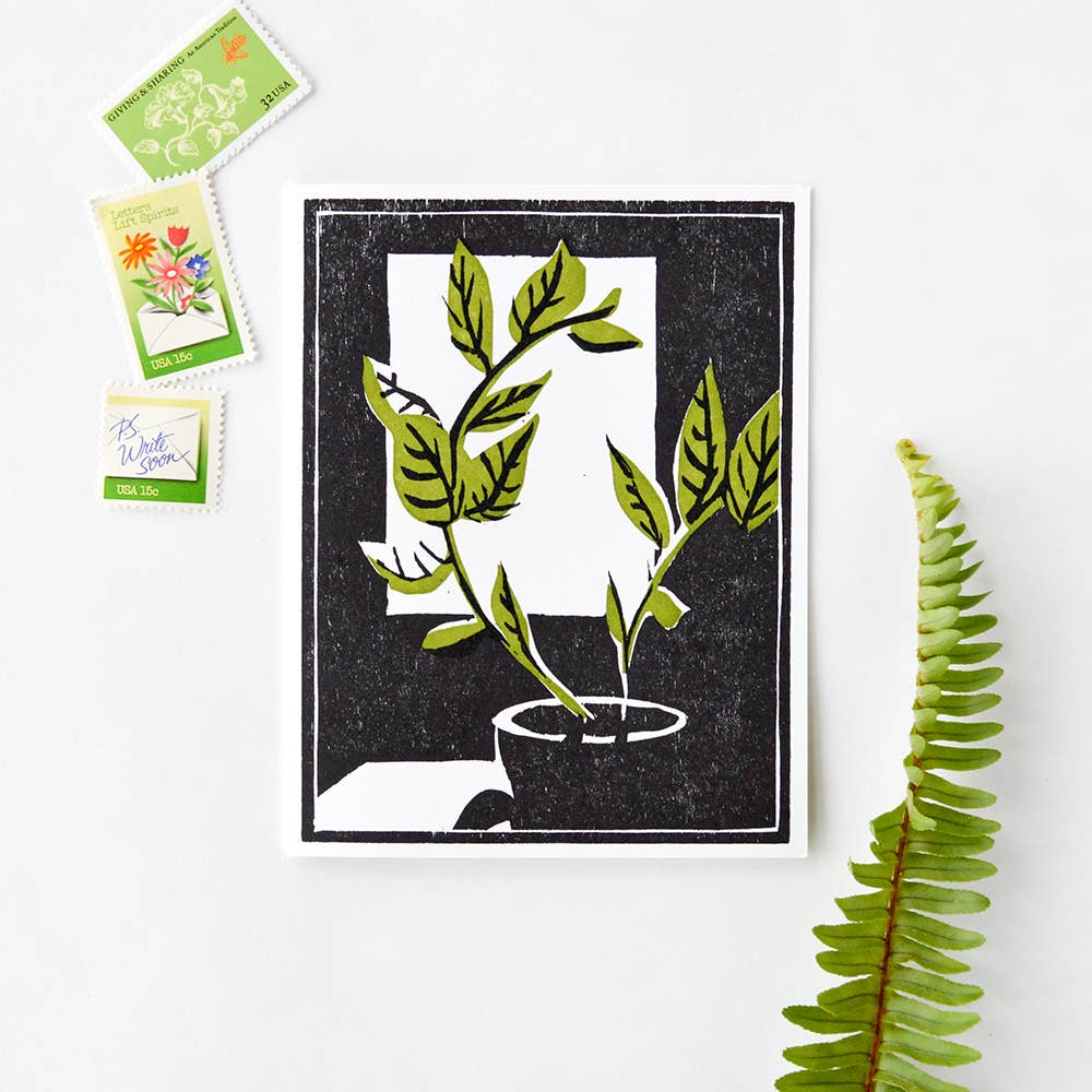 Plant By The Window Everyday Inspiration Card