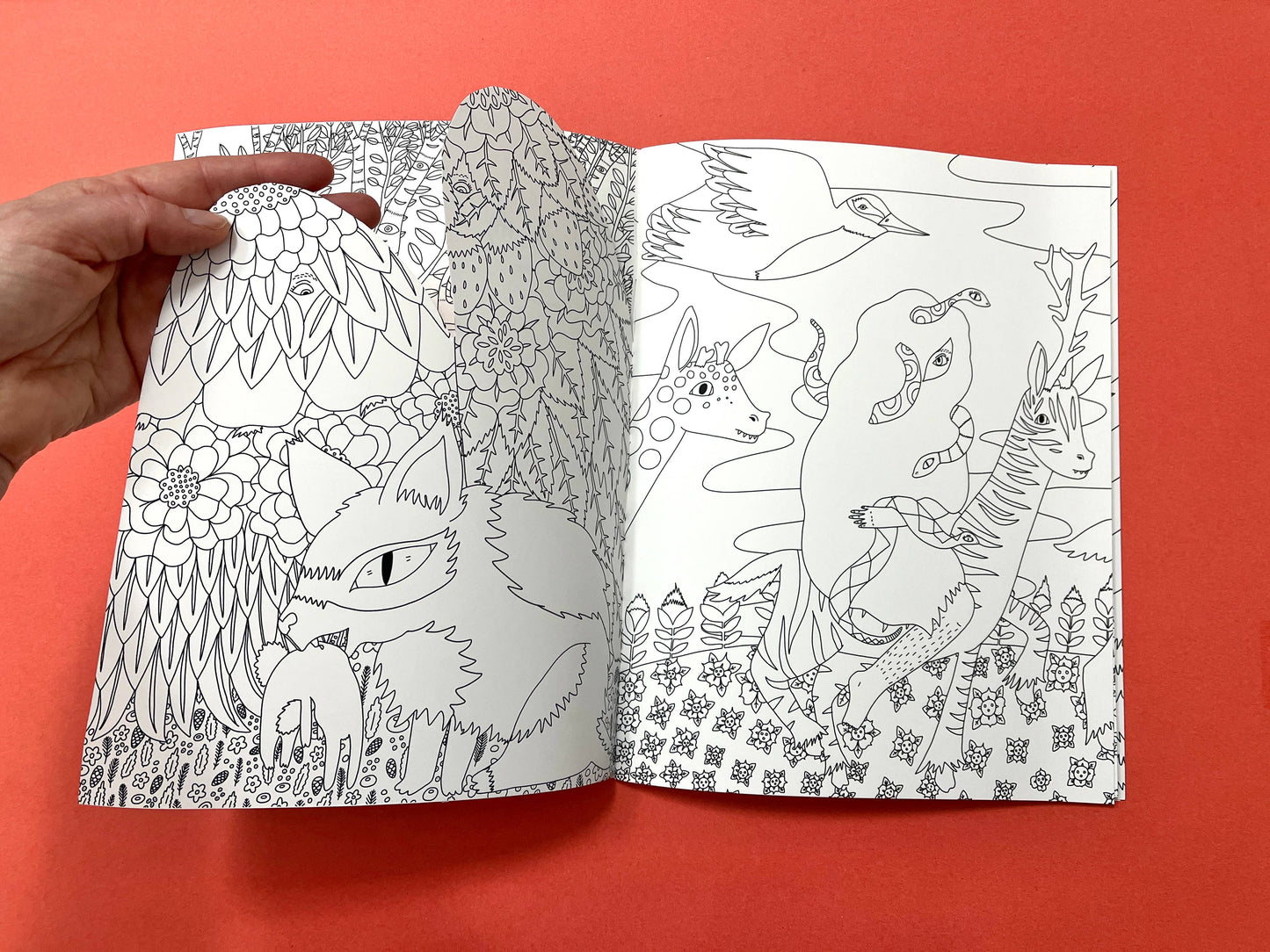 To the Witch's House We Go - Coloring Book w/handcut pages