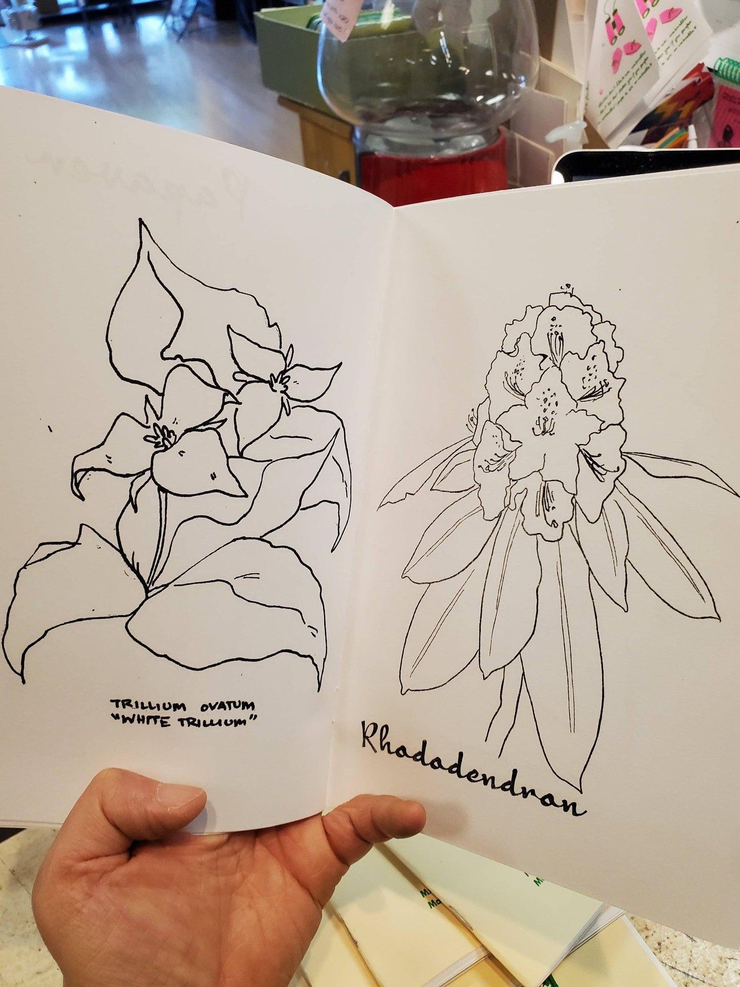 Garden of Imagination Coloring Book by Push/Pull Press