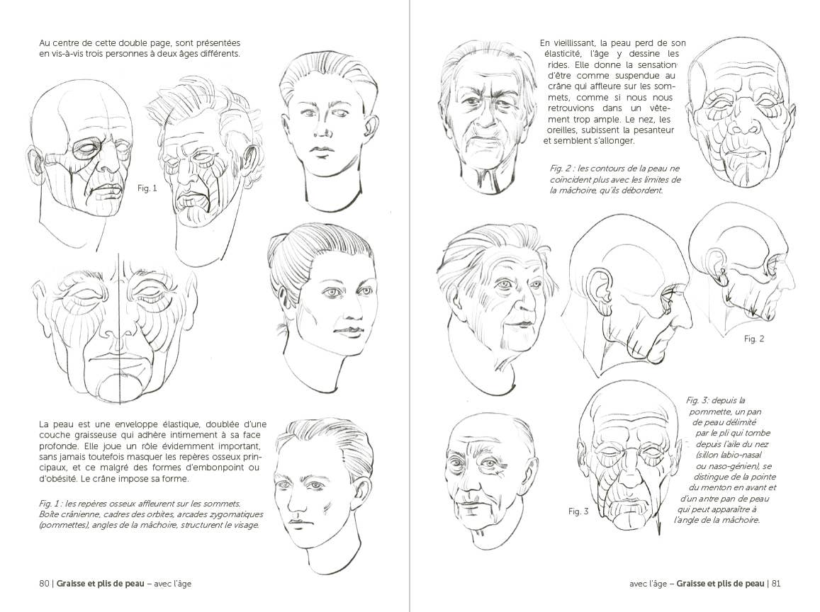 Morpho: Face, Head, And Neck