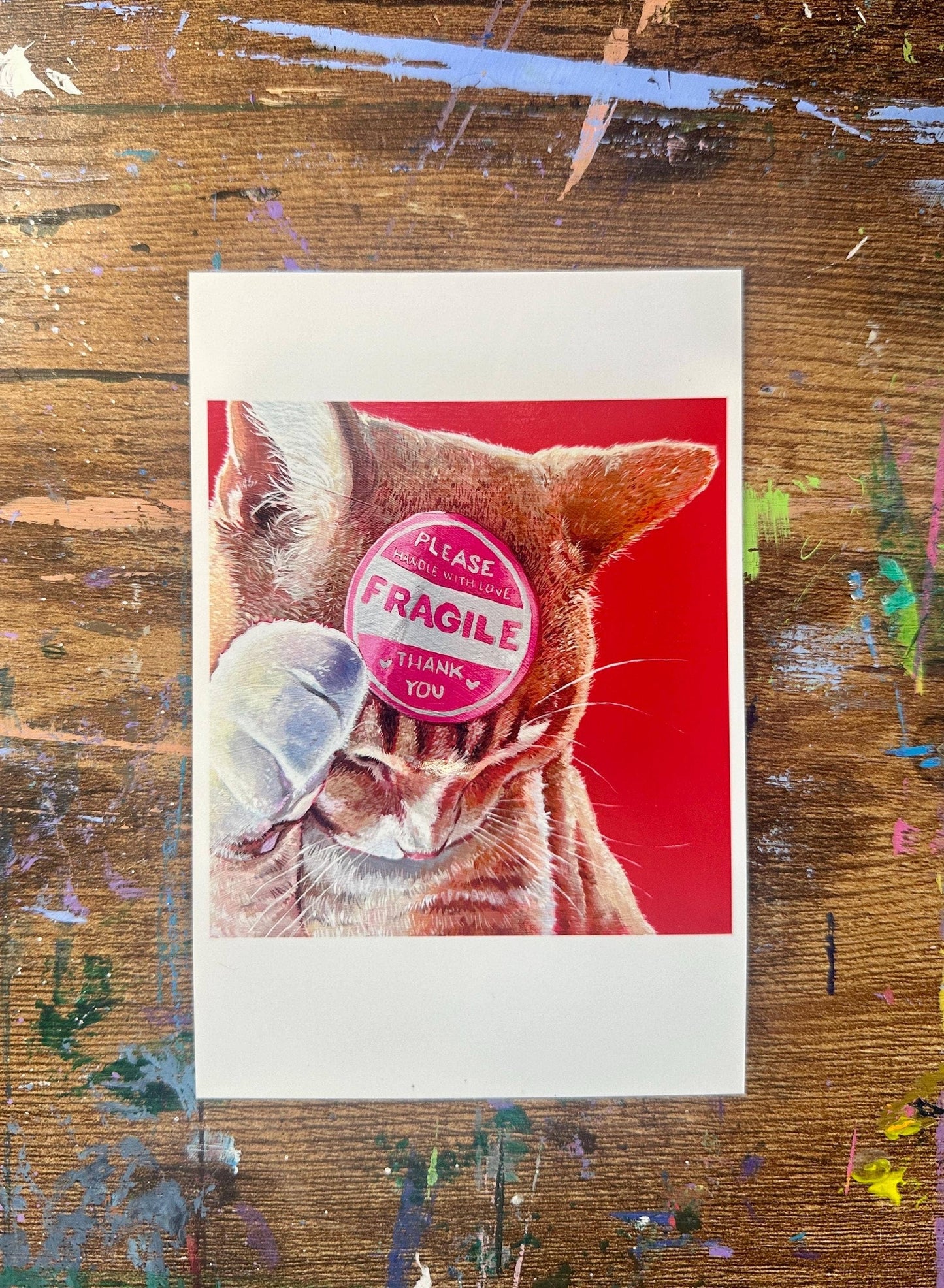 Fragile Orange Cat Art Print, Cute Orange Kitty Poster