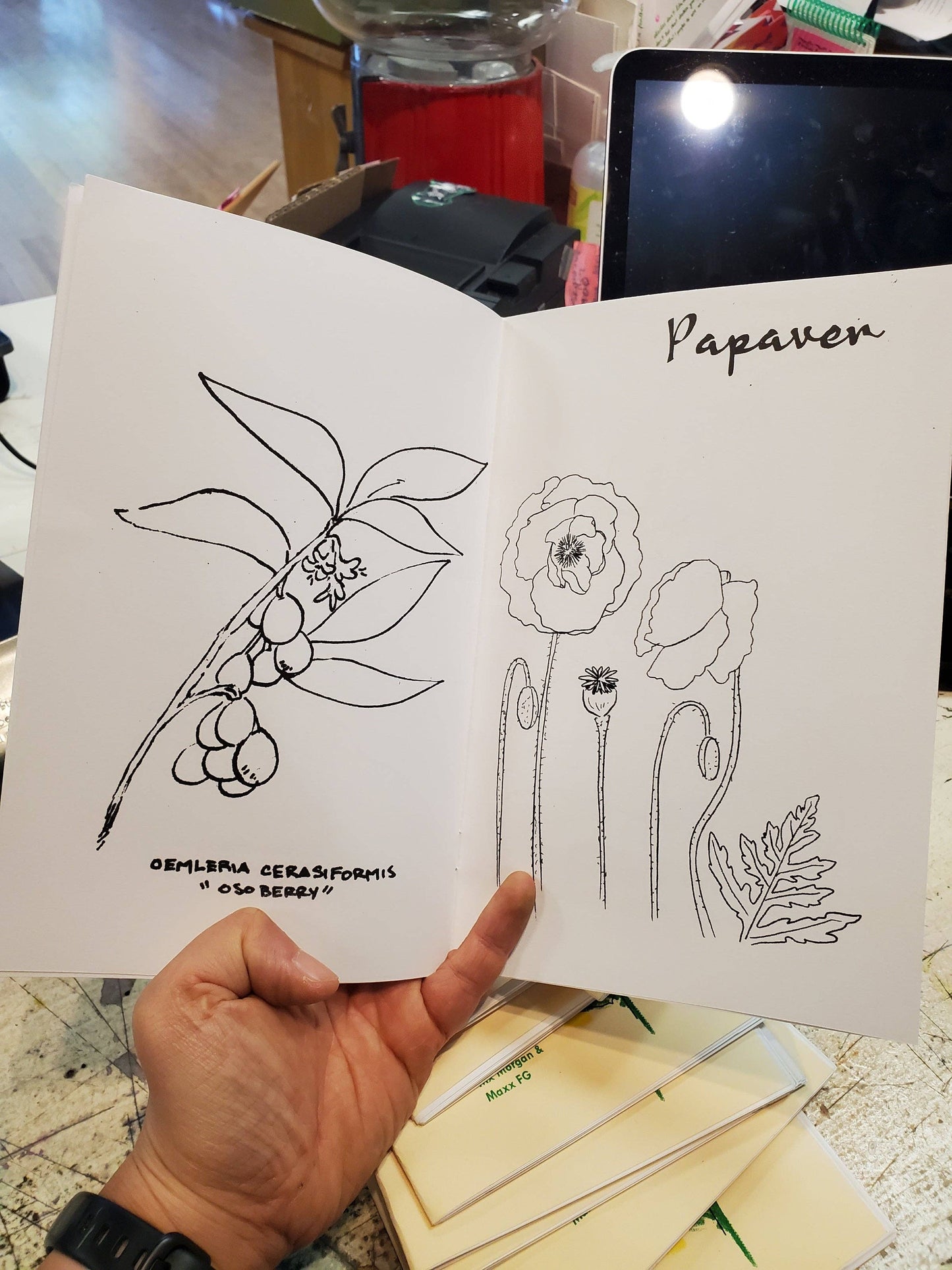 Garden of Imagination Coloring Book by Push/Pull Press