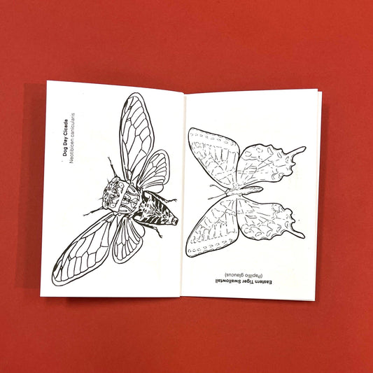 Bugs Coloring Book by Seth Goodkind