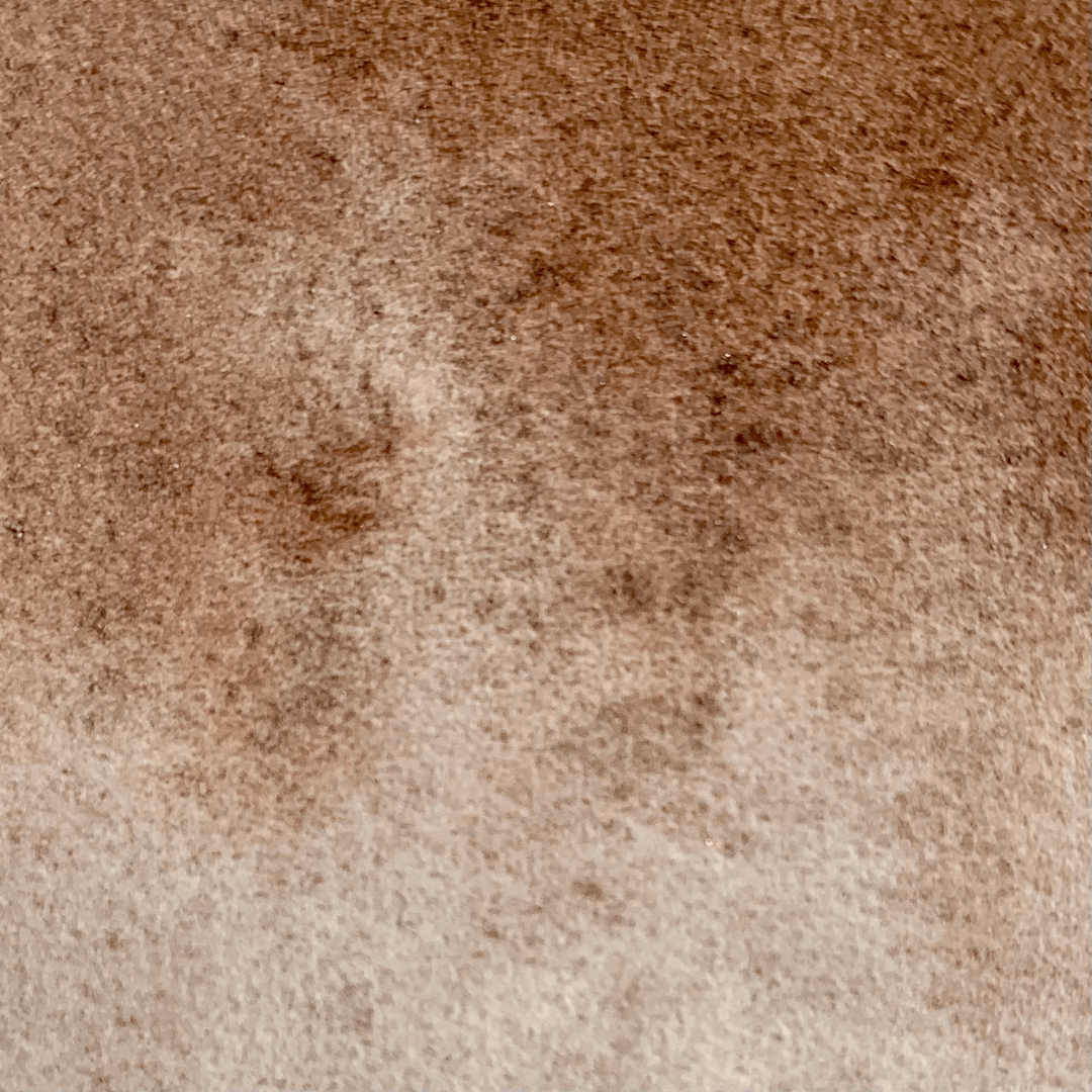 Handmade watercolor - Brown Choco BN