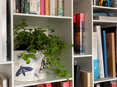 Gothic Ink Set - Suteka Home Decor Tattoos