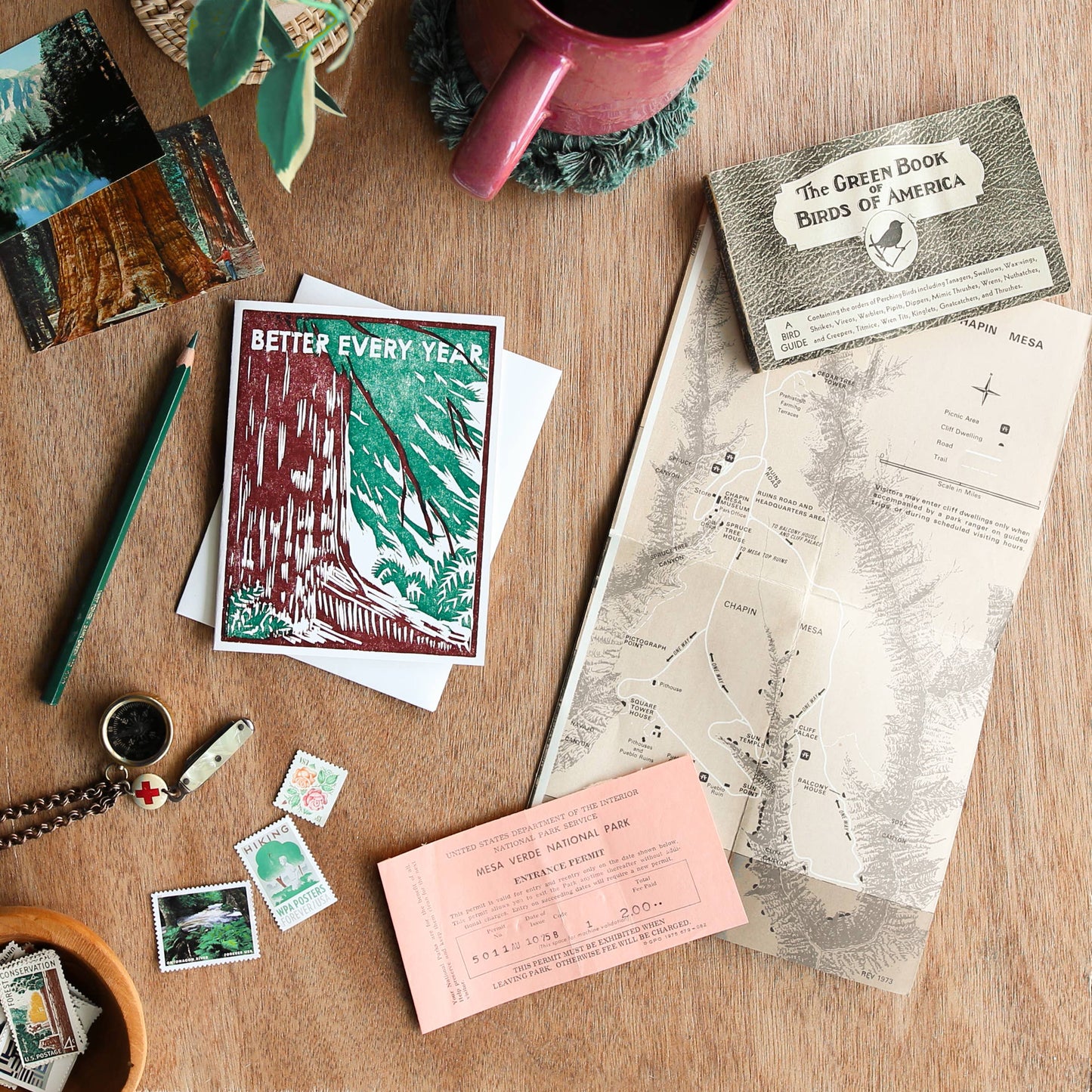 Redwood Tree Better Every Year Birthday Card