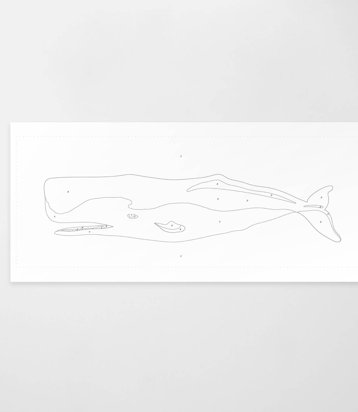 Giant Whale | Modern Paint By Numbers Kit