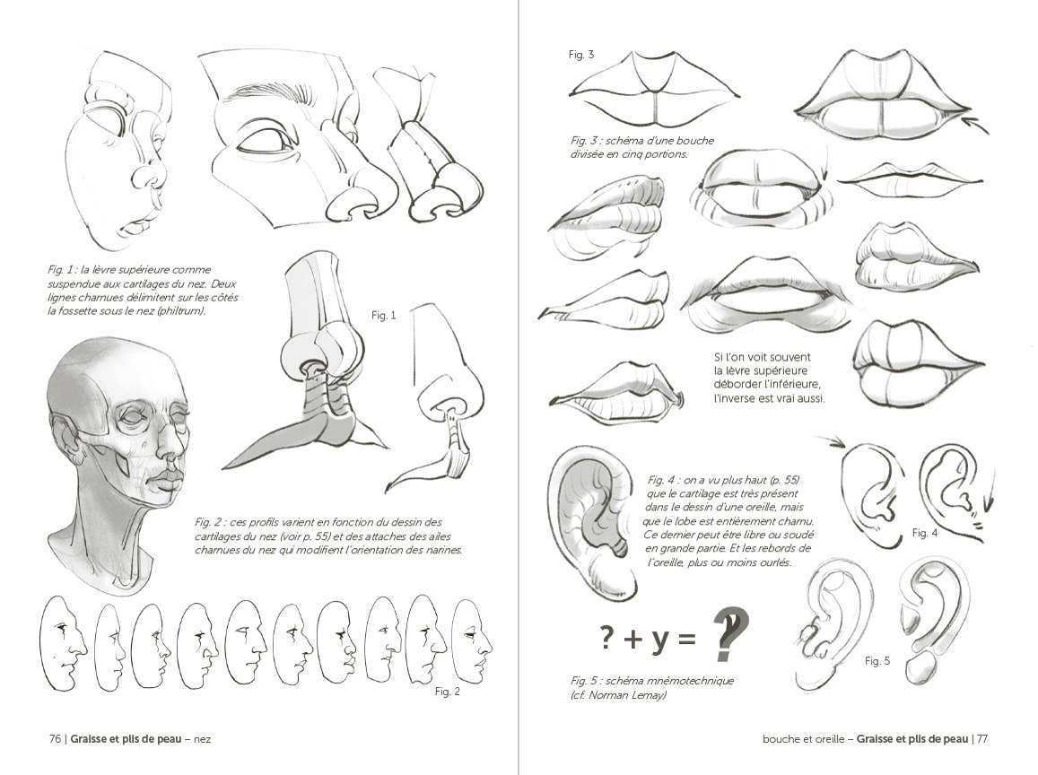 Morpho: Face, Head, And Neck