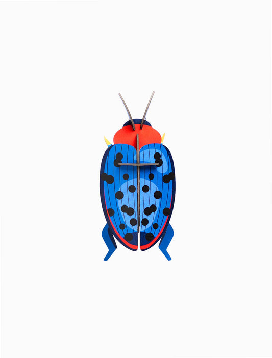 3D Wall Art - Insect - Fungus Beetle