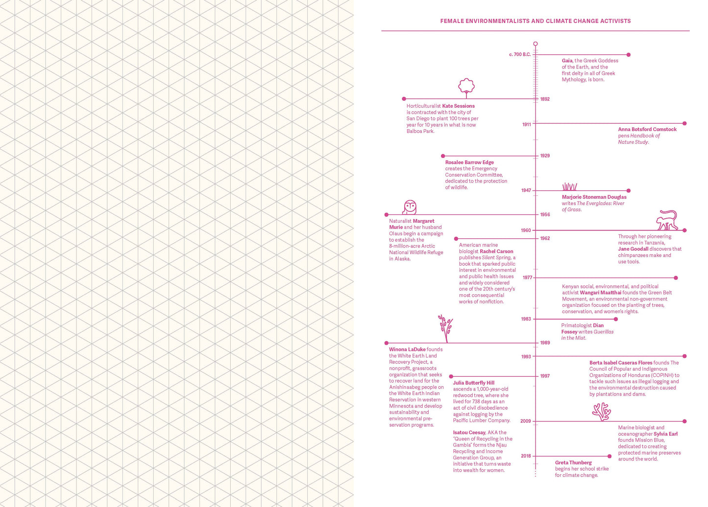 Grids & Guides (Pink)