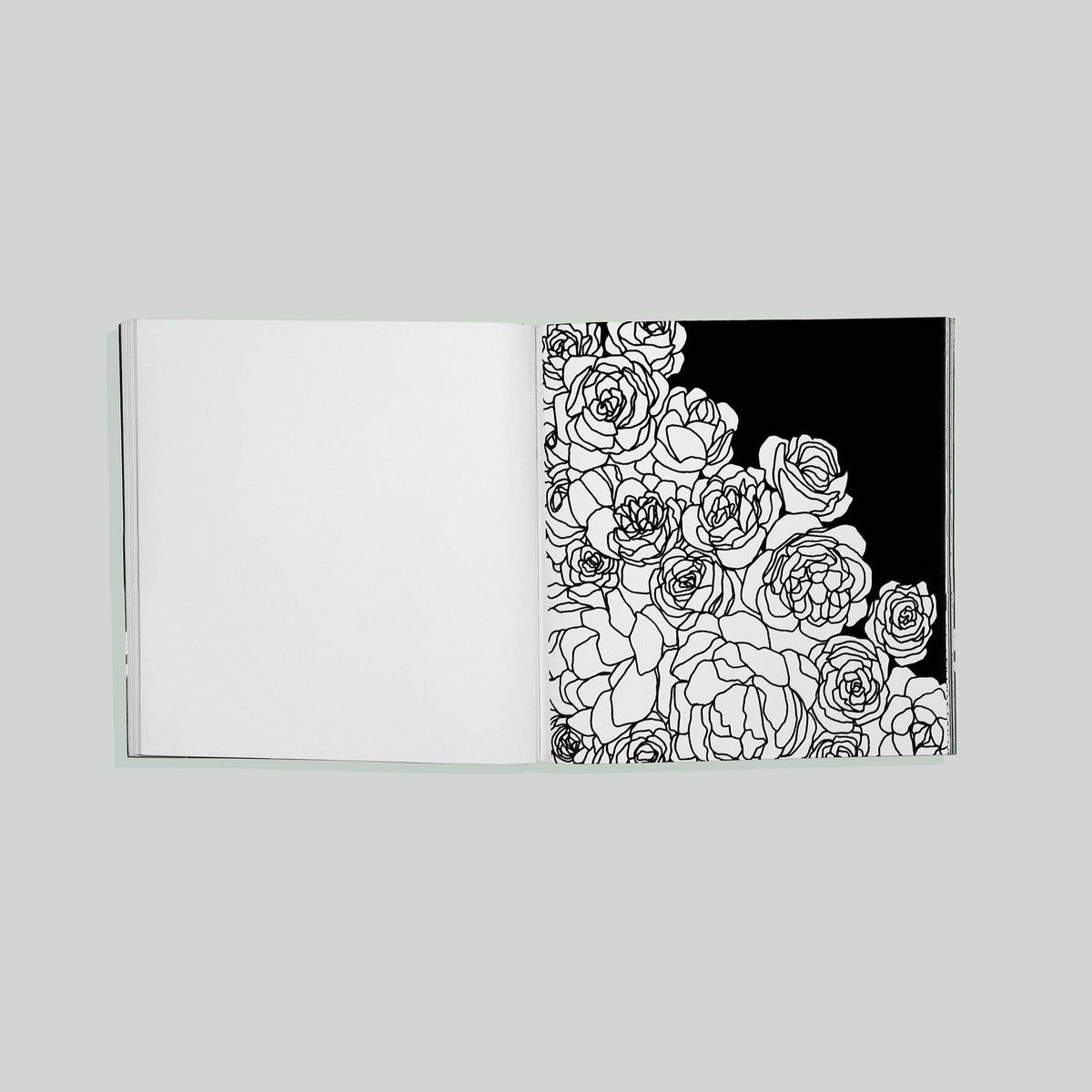 Bloom: Adult Coloring Book with Velvet Pages