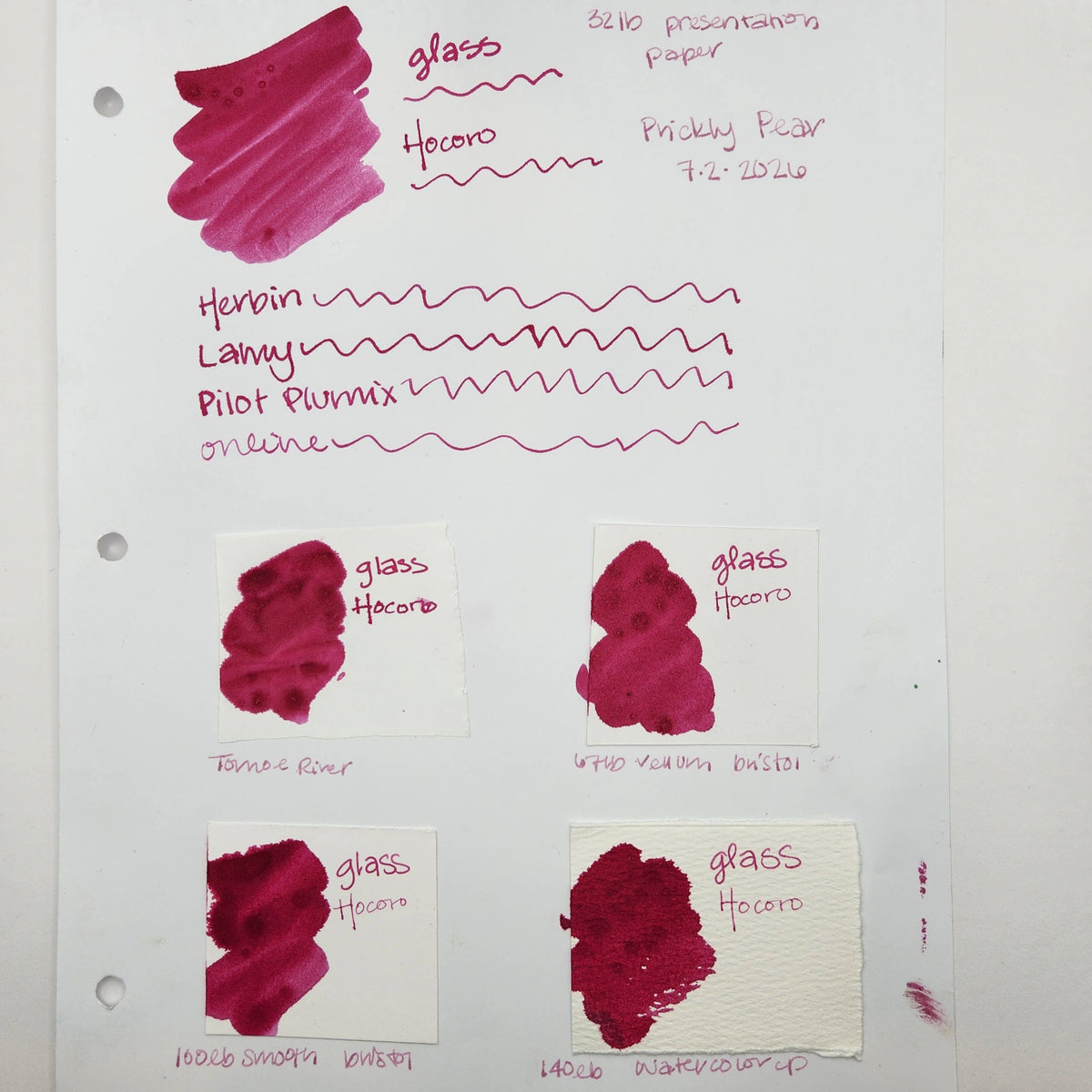 Fountain Pen Ink - Prickly Pear