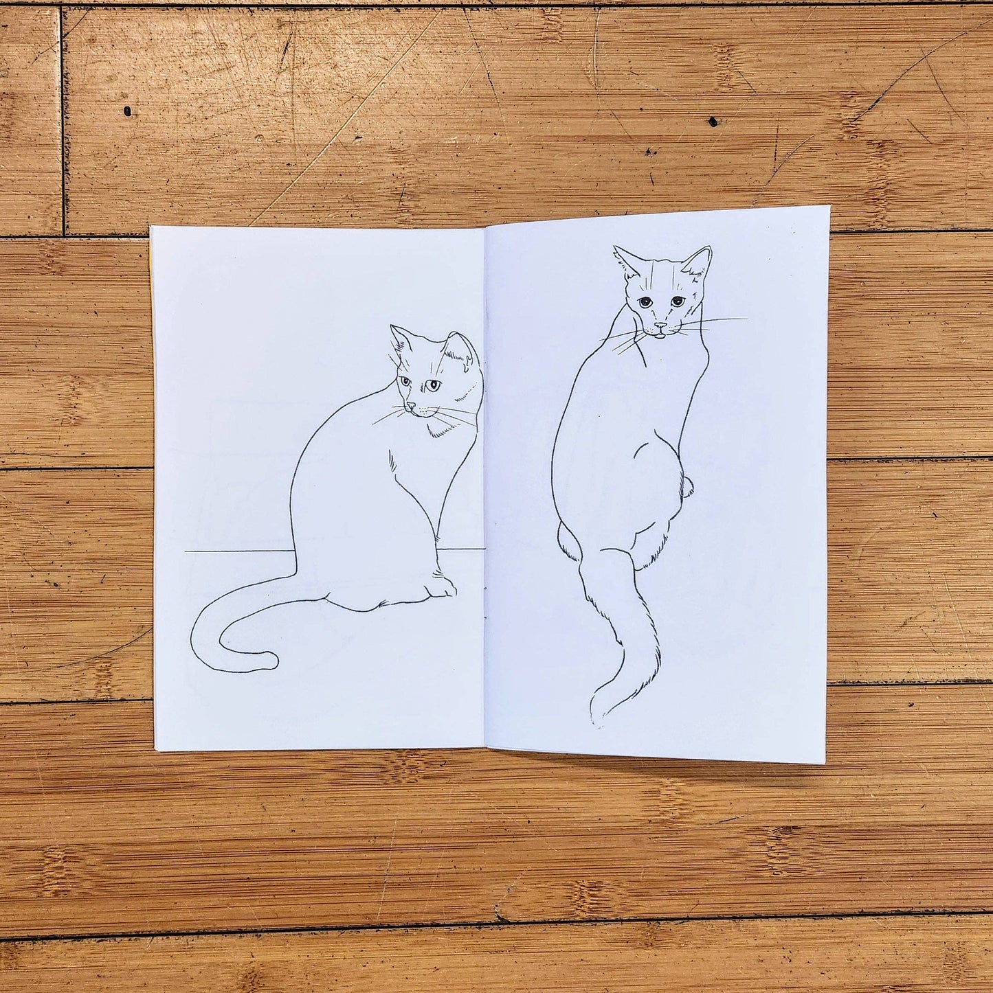 Color A Clowder: Kitty Coloring Book by Maxx FG