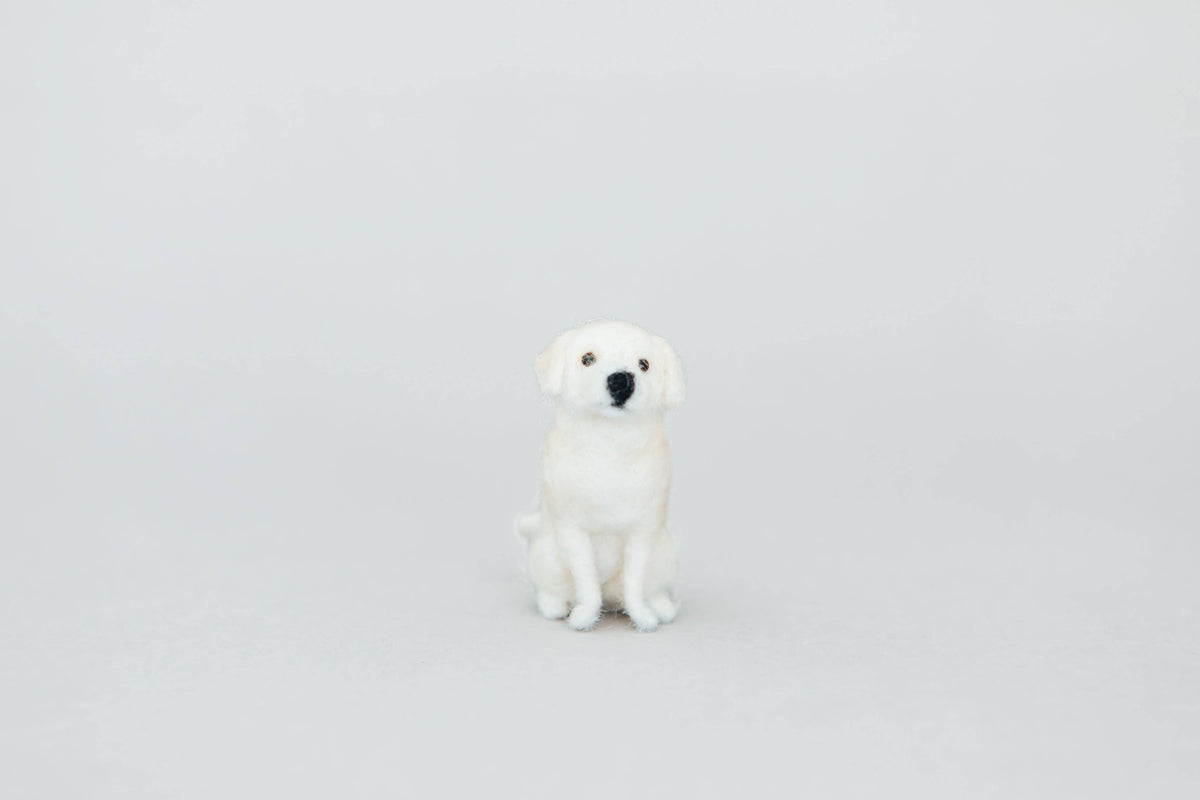 Little Felted Friends: Labrador Retriever Needle-Felting Kit