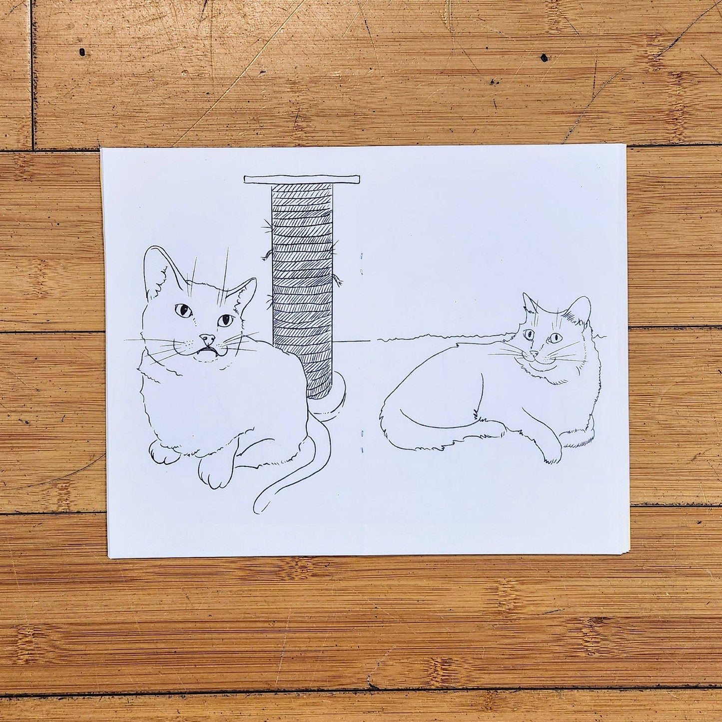 Color A Clowder: Kitty Coloring Book by Maxx FG