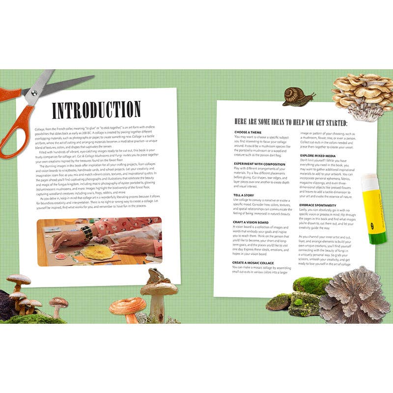 Cut and Collage Mushrooms and Fungi