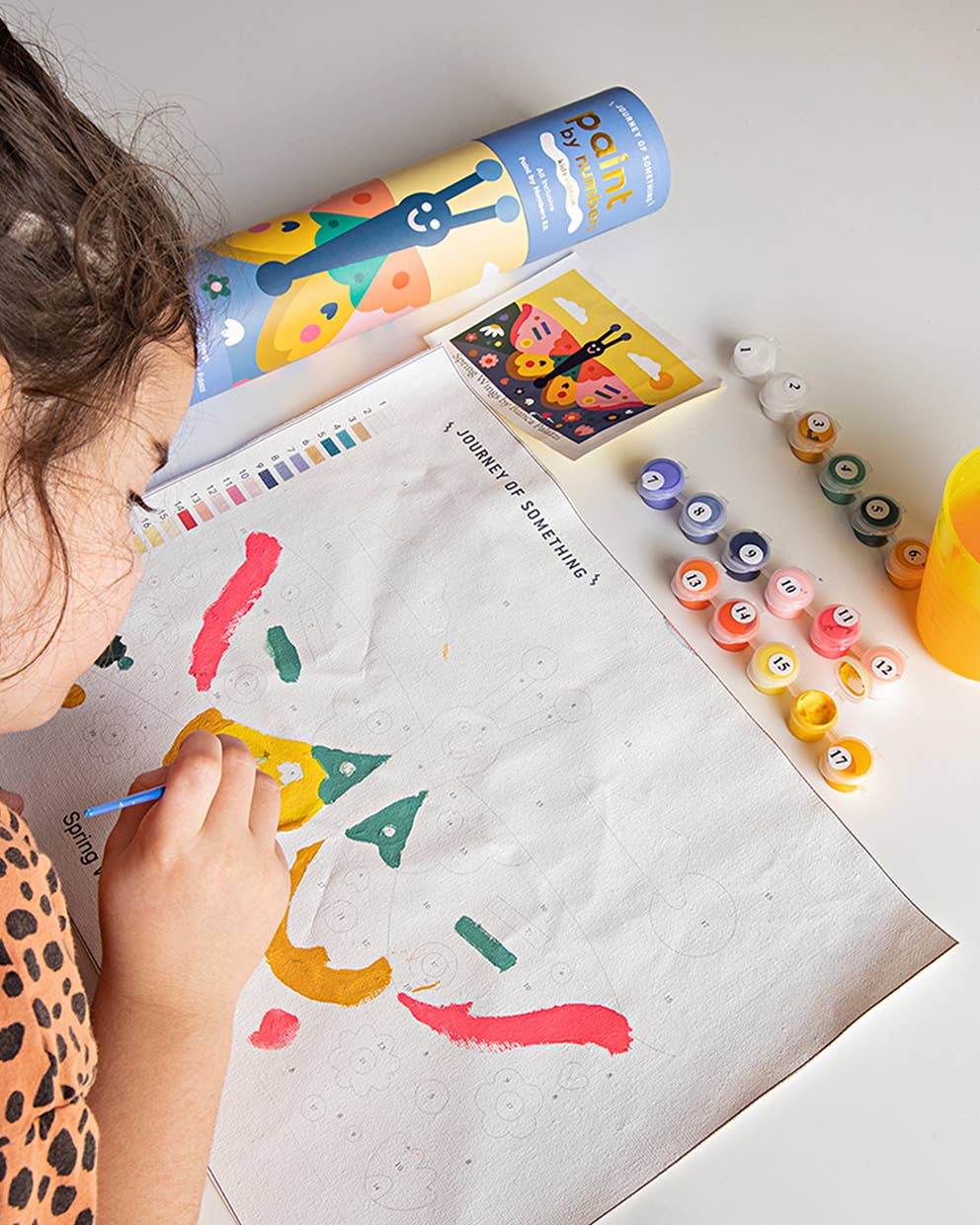 Paint by Numbers Kit & Canvas for Kids - Spring Wings