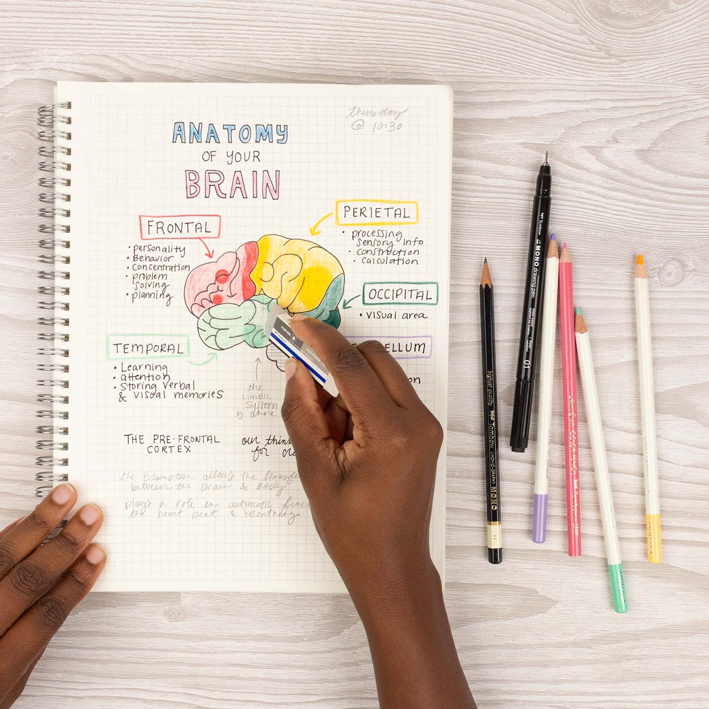 MONO Sand and Rubber Eraser - 40PC Display Box