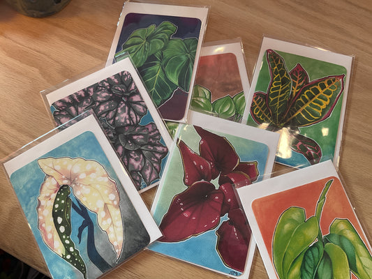 Floral Cards by Yinz and Yous