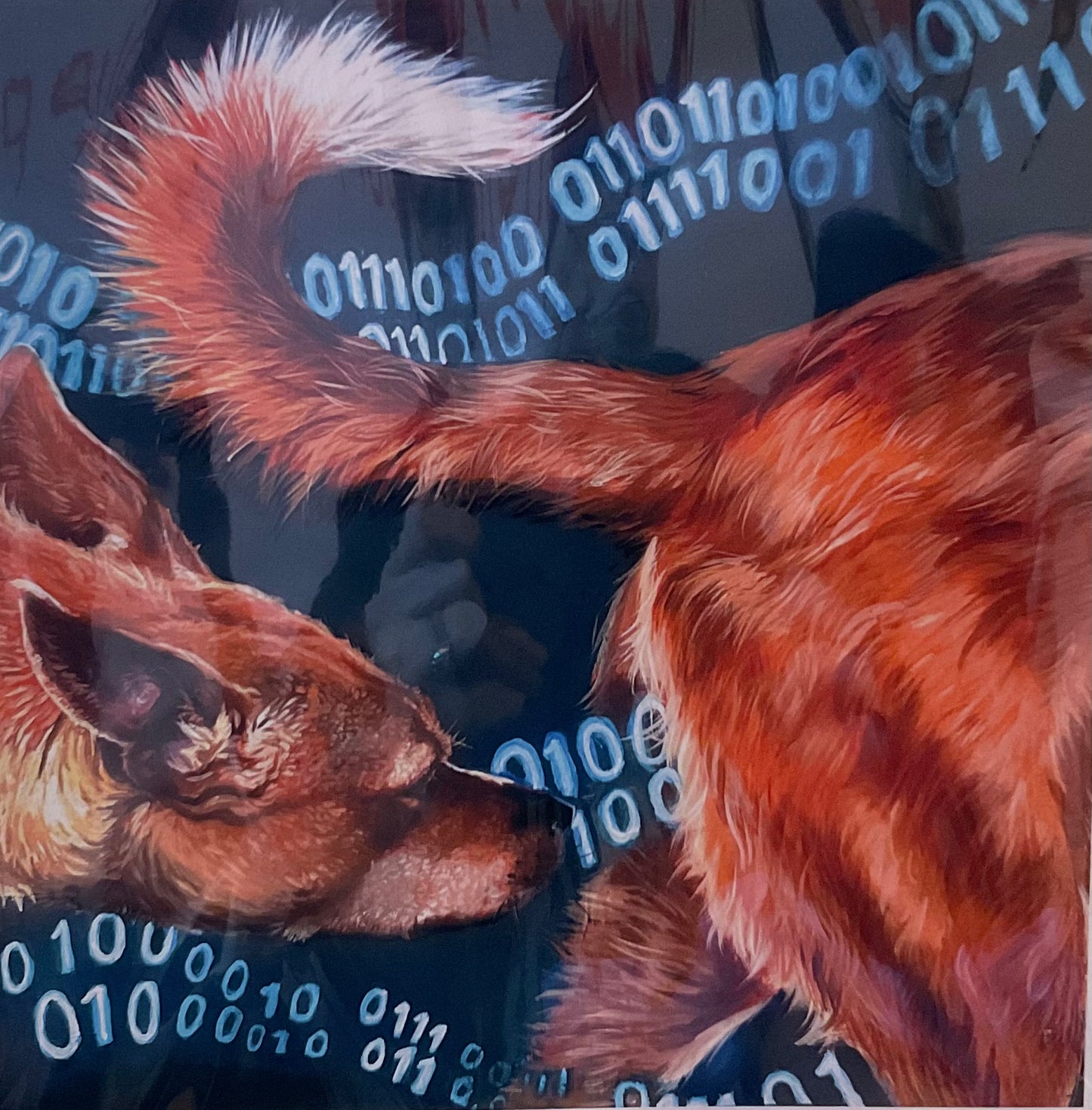 Gallery Prints: Lauren Mohr