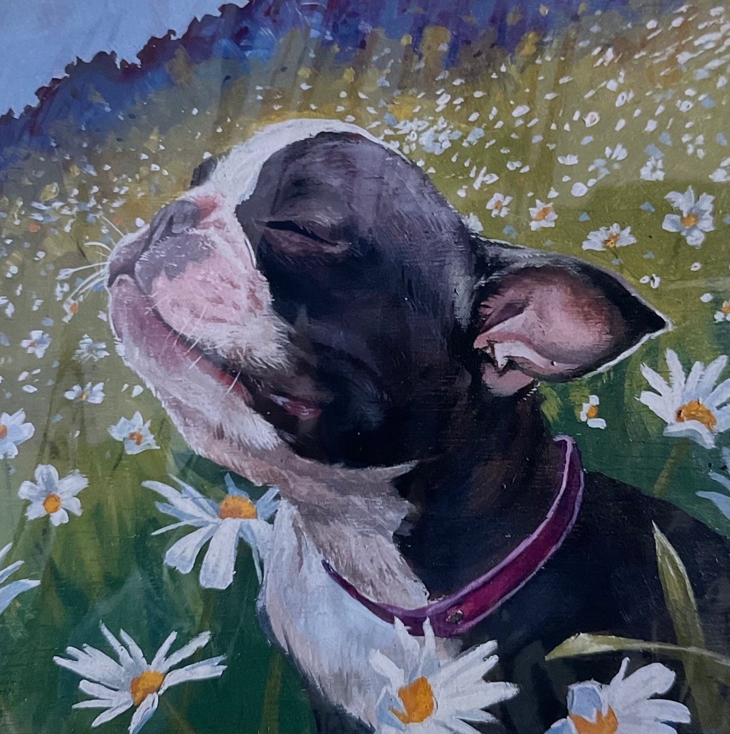 Gallery Prints: Lauren Mohr