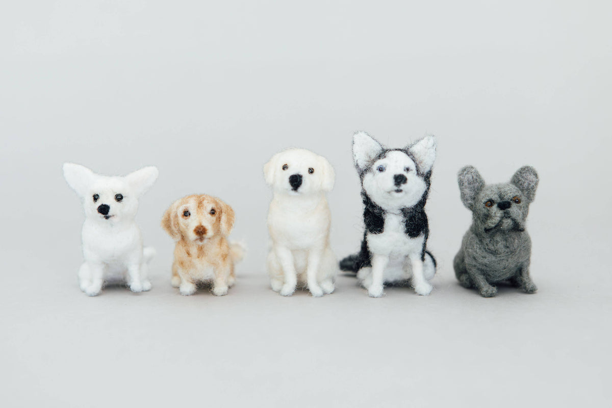 Little Felted Friends: Dachshund (A Needle-Felting Kit)