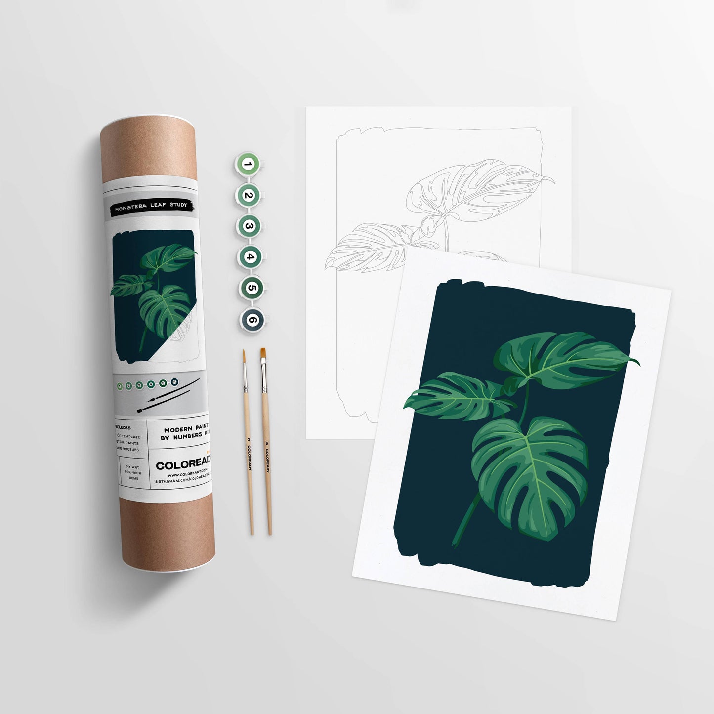 Monstera Leaf Study | Modern Paint By Numbers Kit