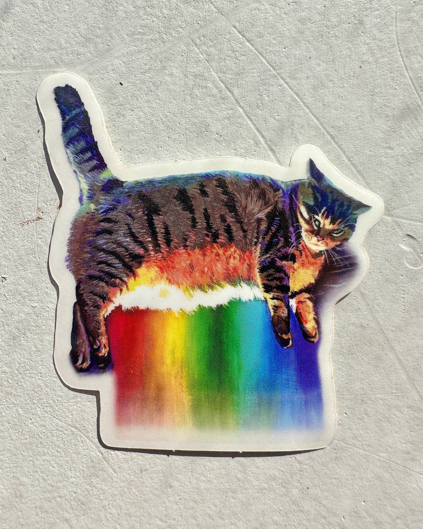 Rainbow Cat Meme Sticker