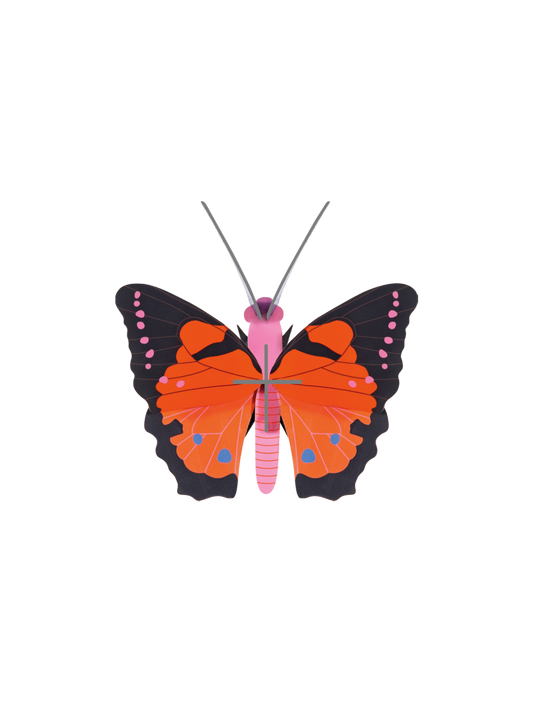 3D Wall Art - Butterfly - Large Fox Butterfly
