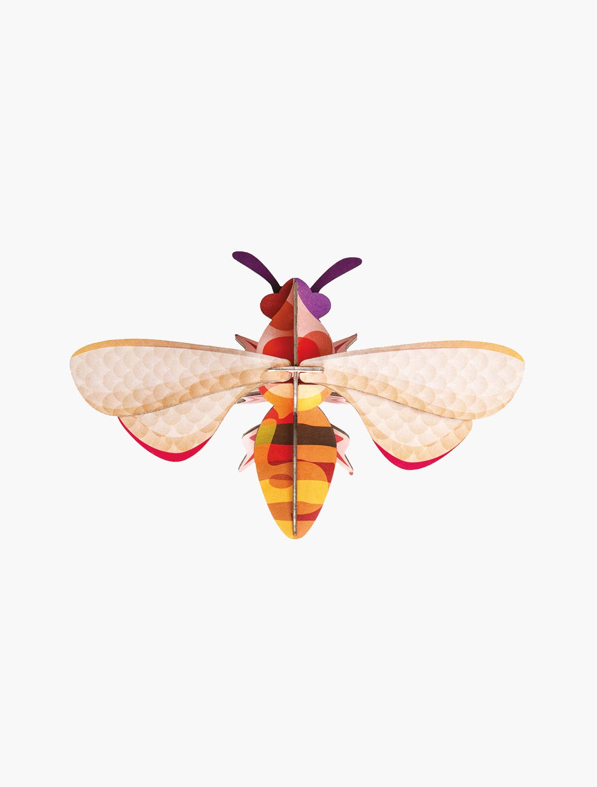 3D Wall Art - Insect - Honey Bee