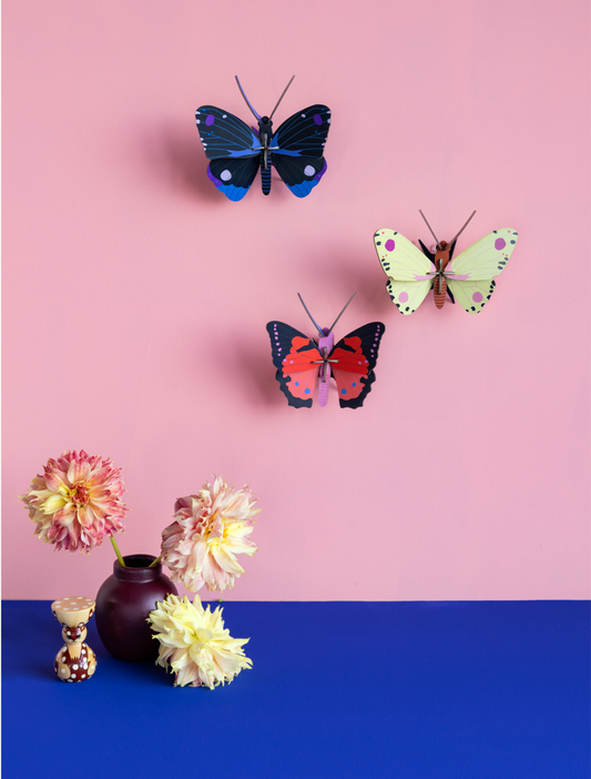 3D Wall Art - Butterfly - Blue Diadem Butterfly