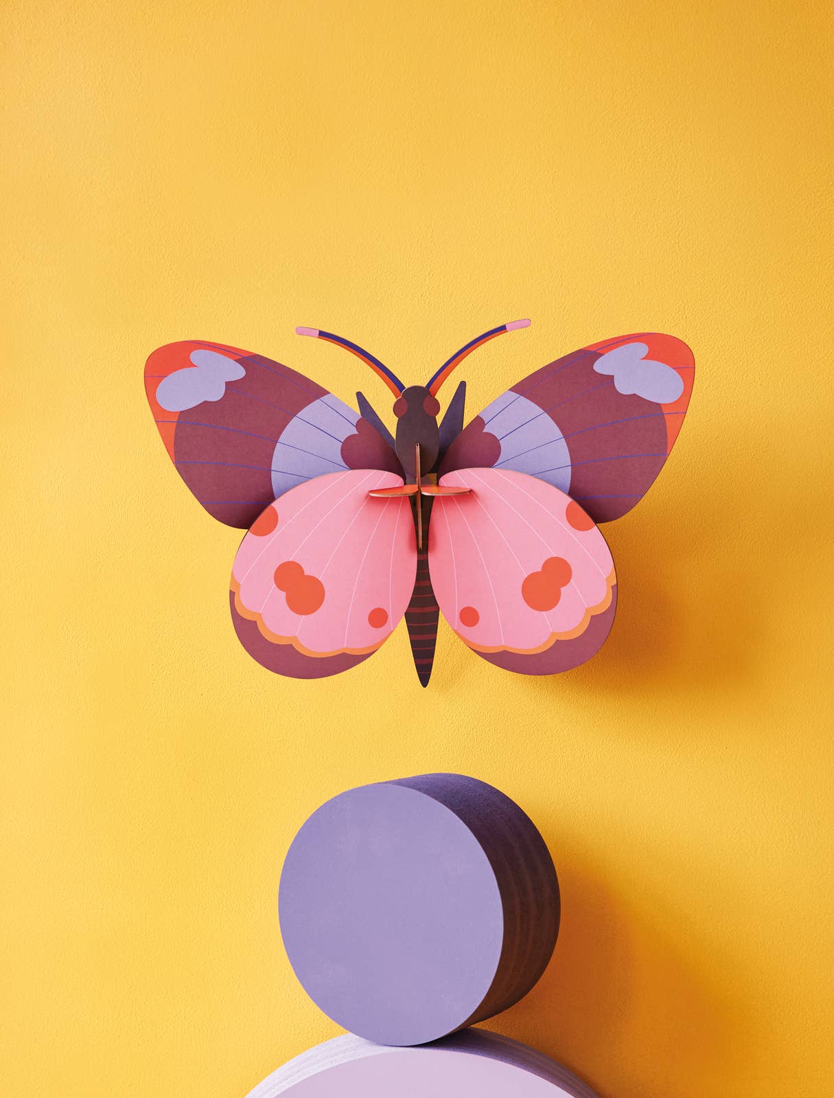 3D Wall Art - Butterfly - Bellissima Butterfly