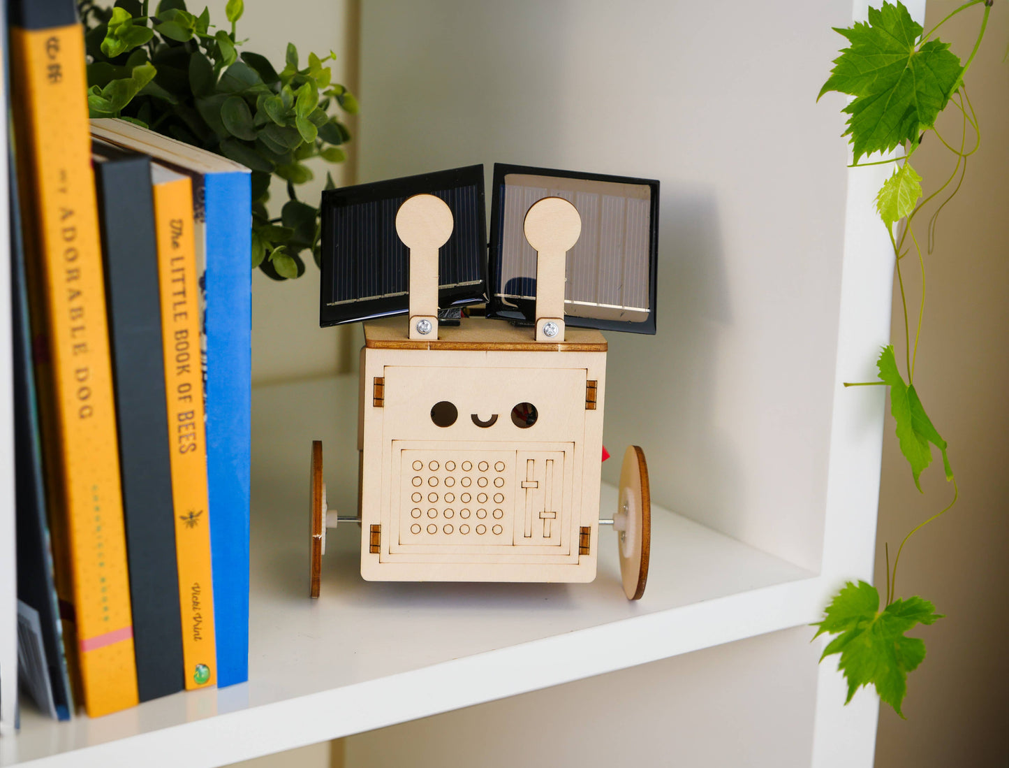 Eco-Bot - Solar Powered Robot