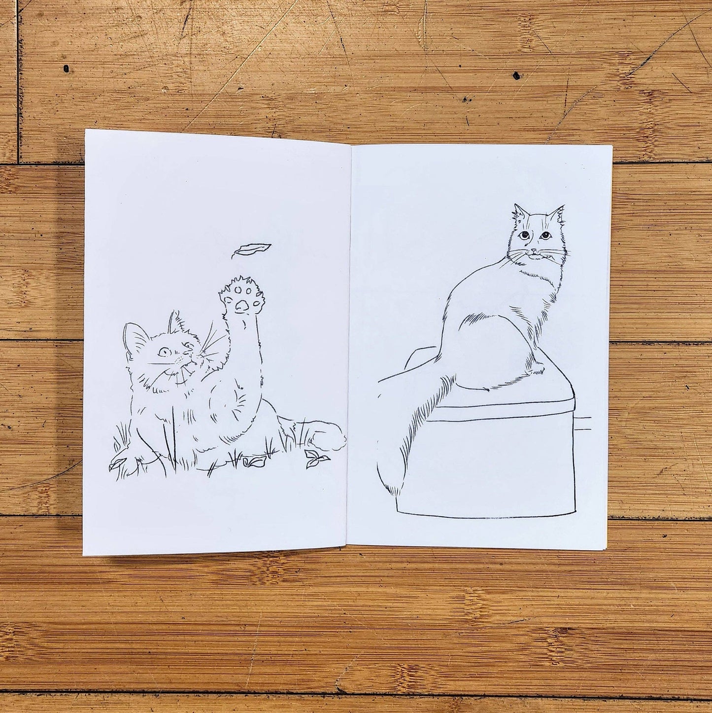 Color A Clowder: Kitty Coloring Book by Maxx FG