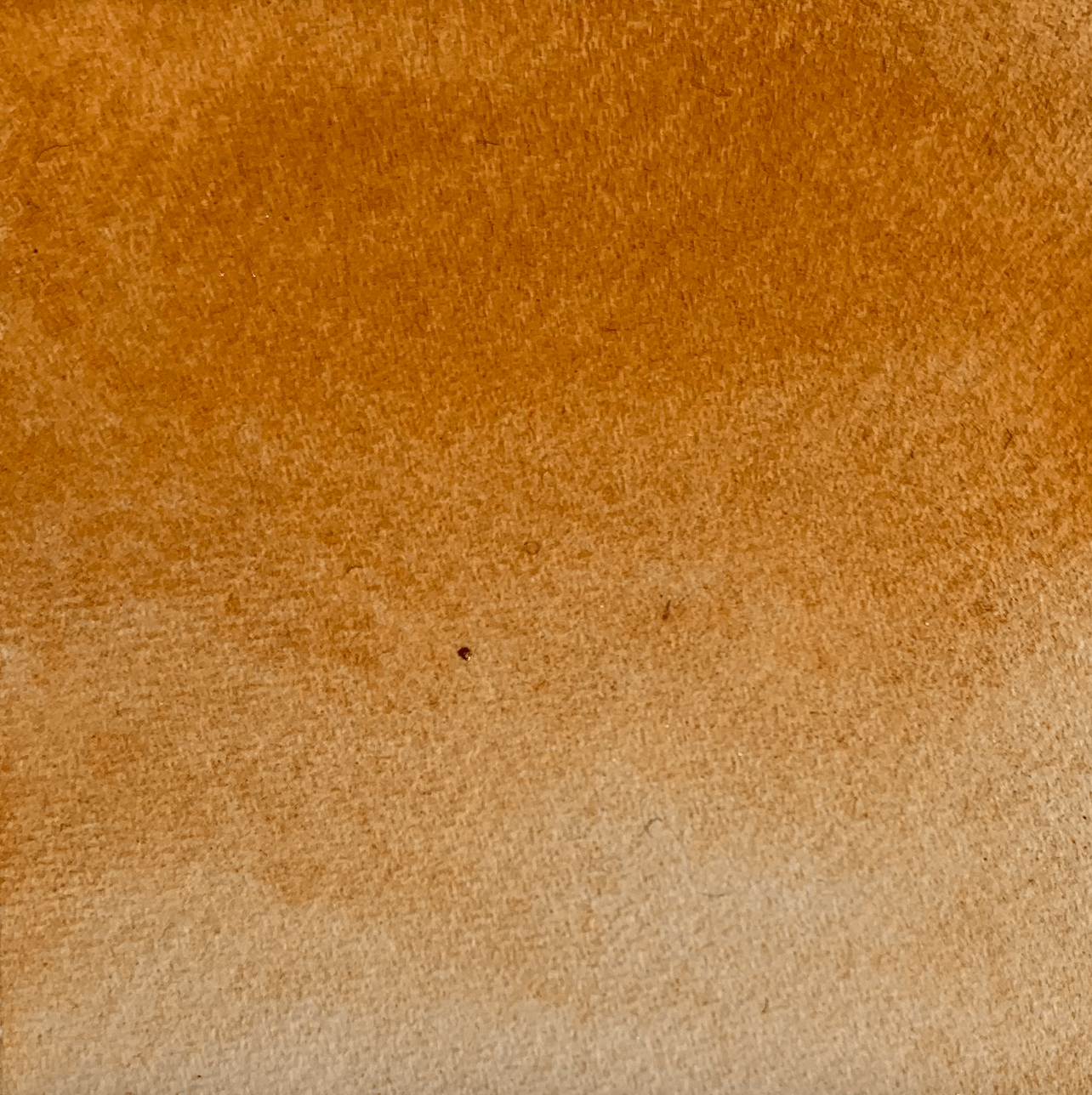 Handmade watercolor - Ocre Risotto alla Milanese