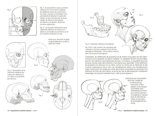 Morpho: Face, Head, And Neck