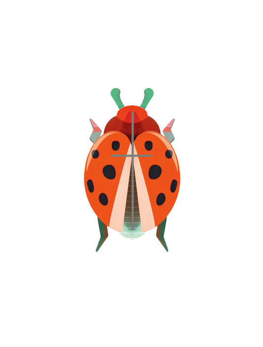 3D Wall Art - Beetles - Coccinelle Rouge