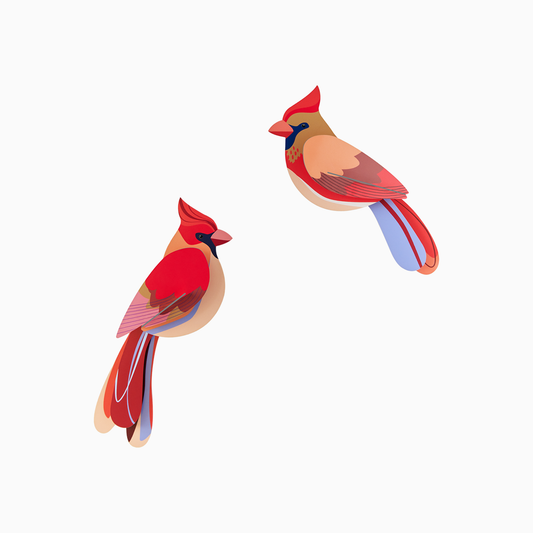 3D Wall Art - Garden Birds - Cardinals
